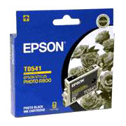 Epson T0541 ink cartridge 550 pc(s) Original Photo black