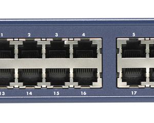 NETGEAR ProSafe Ethernet Switch Unmanaged Blue