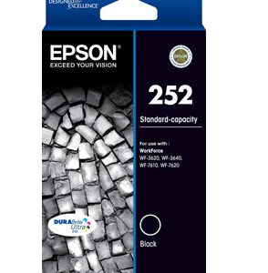 Epson C13T252192 ink cartridge Original Standard Yield Black