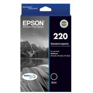 Epson C13T293192 ink cartridge Original Standard Yield Black