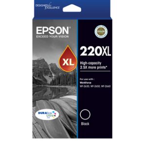 Epson C13T294192 ink cartridge Original High (XL) Yield Black