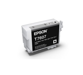 Epson C13T760700 ink cartridge Original Light black