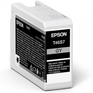Epson UltraChrome Pro ink cartridge 1 pc(s) Original Grey