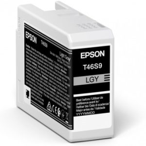 Epson UltraChrome Pro ink cartridge 1 pc(s) Original Light grey